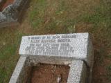 image of grave number 223904
